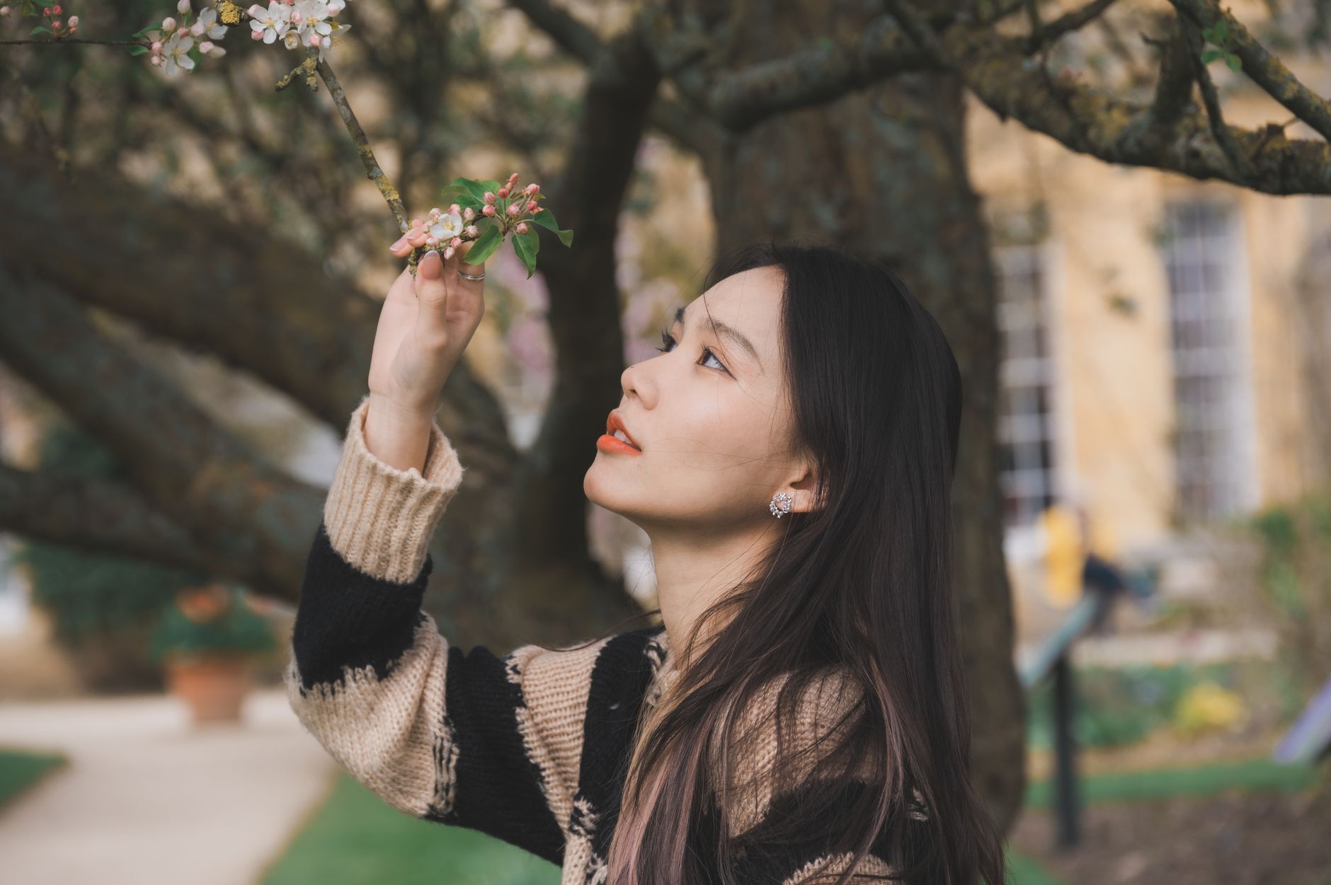 studyuk-edu-pl 配图