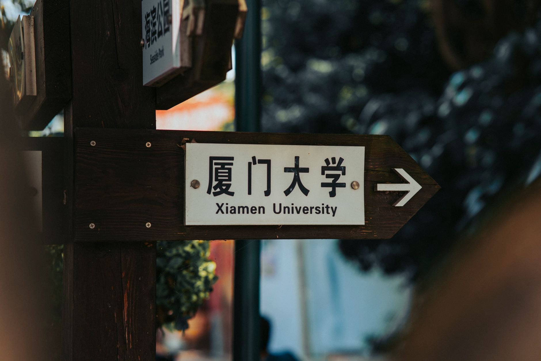 studyuk-edu-pl 配图