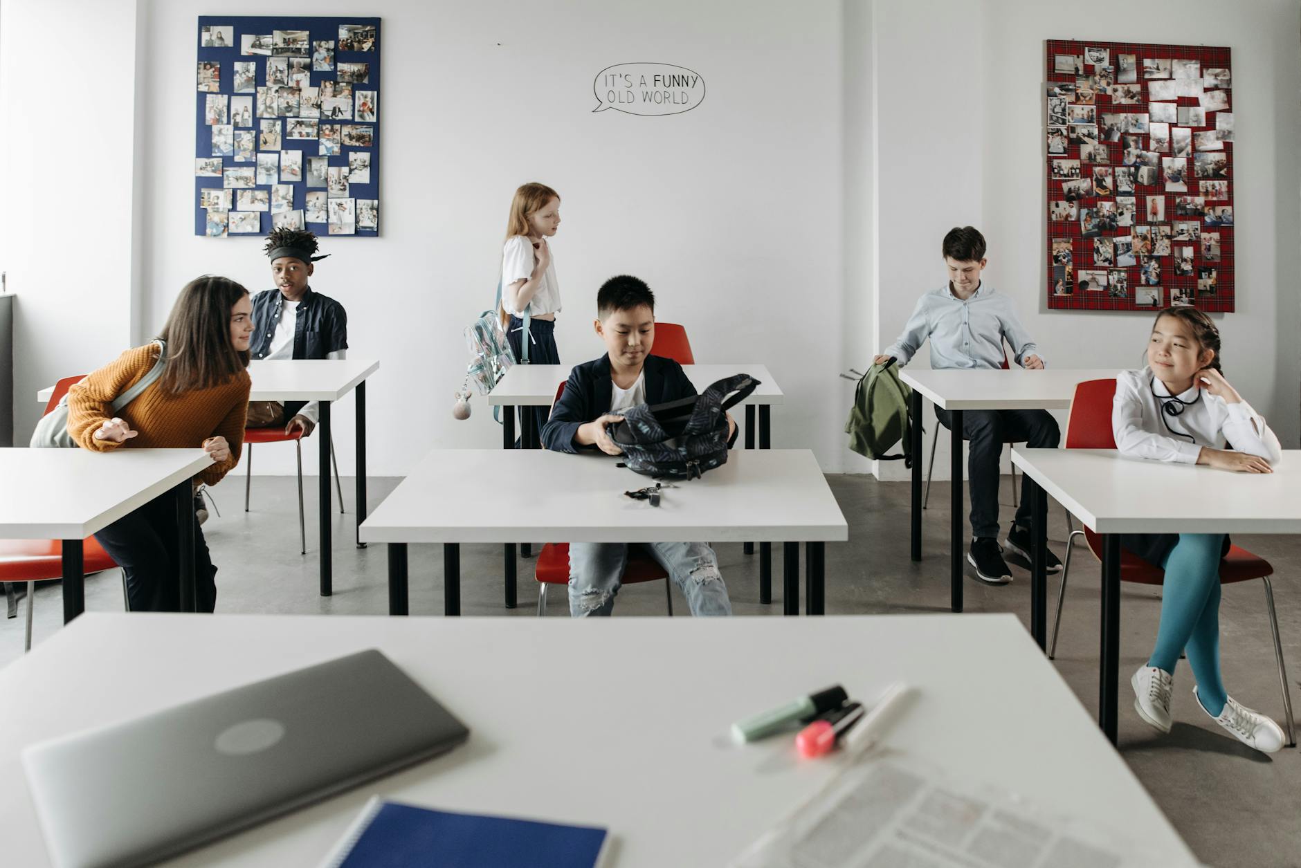 studysg-org-cn 配图