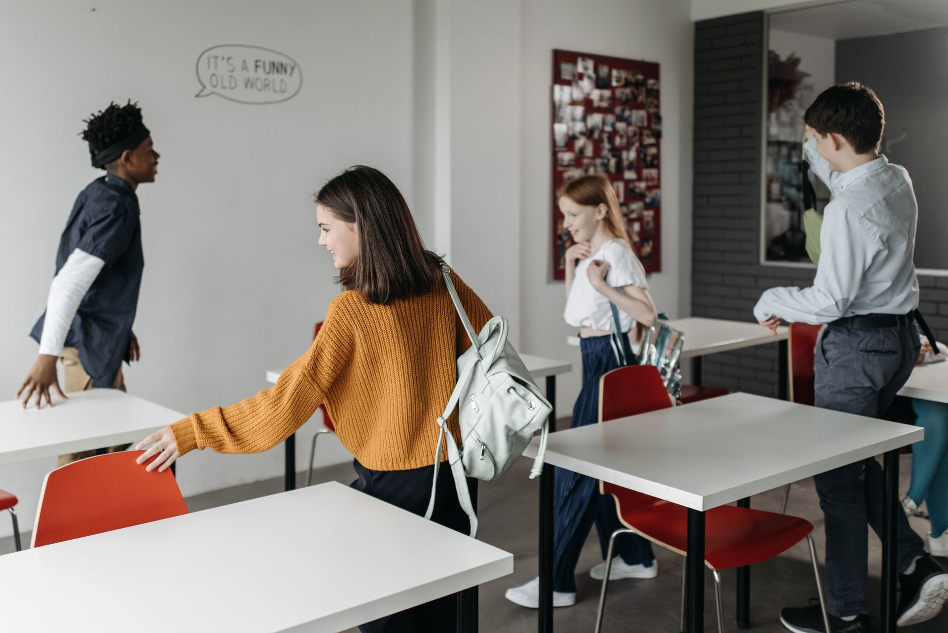 studyhk-org-cn 配图