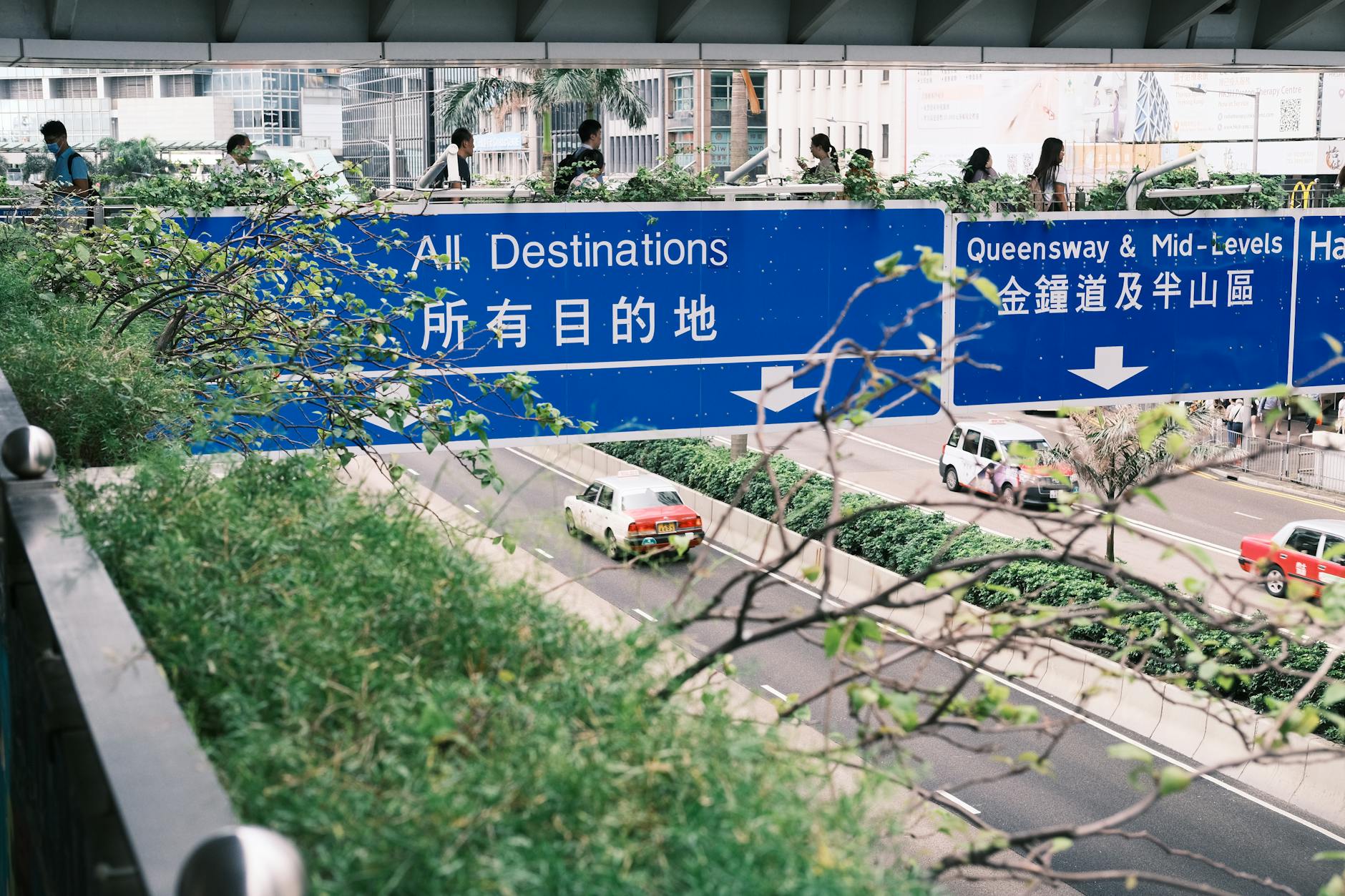IANG 续签条件 2026 实操：工作合约 / 月薪门槛 / 续签材料