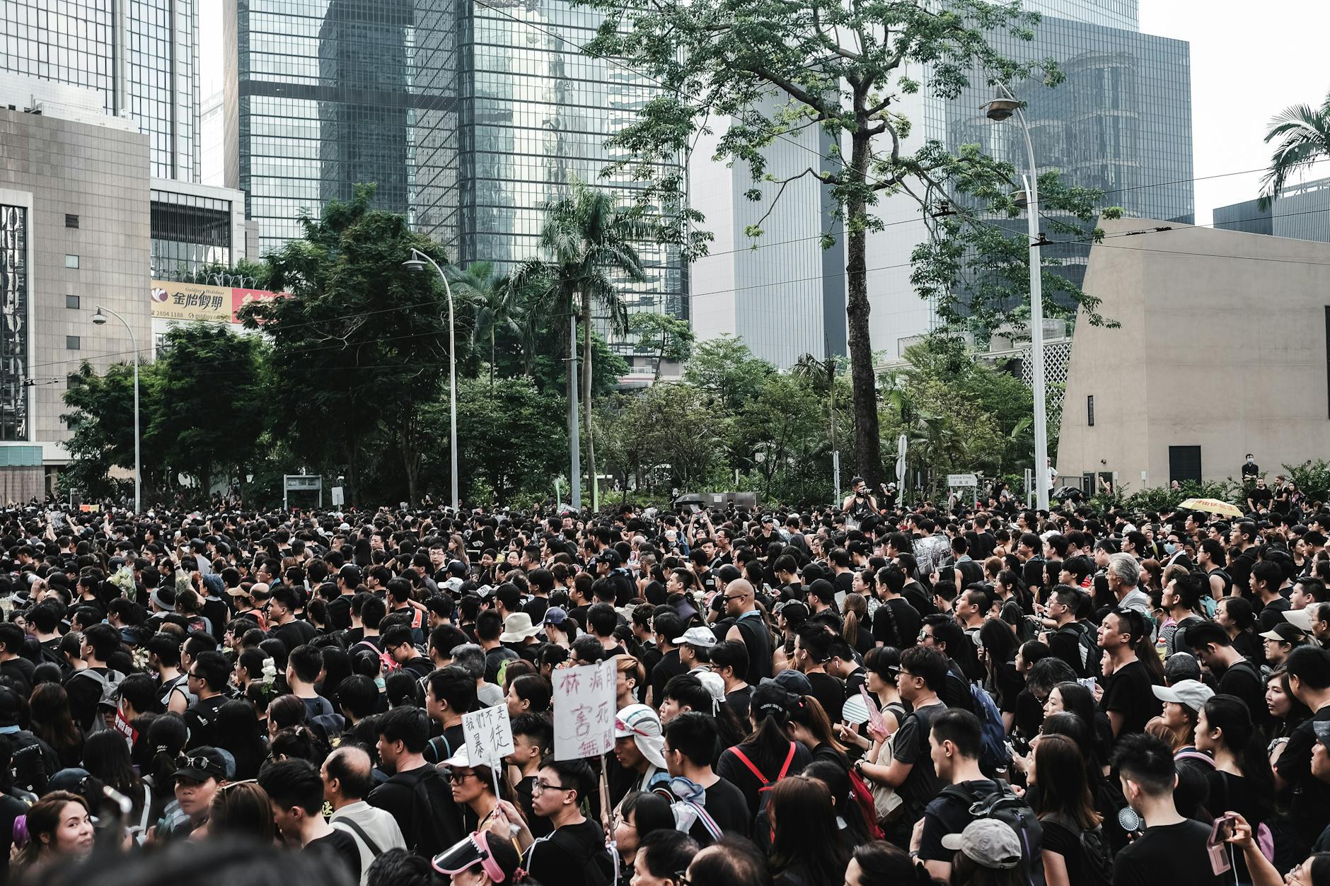 七年永居获批后失效情形：连续 36 个月离港