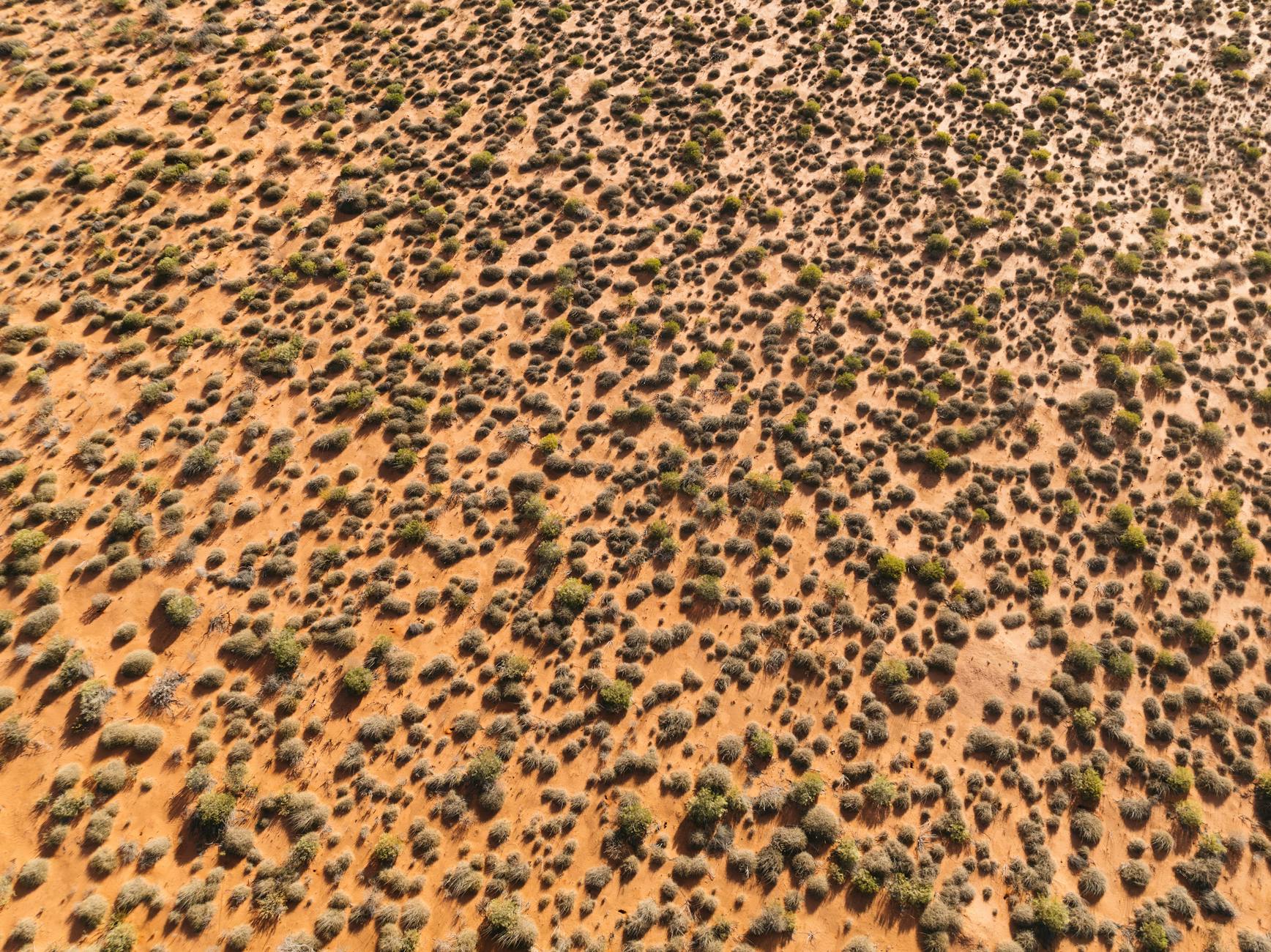 Farmer / Agricultural Low Doc Loan + Drought Provisions 2026