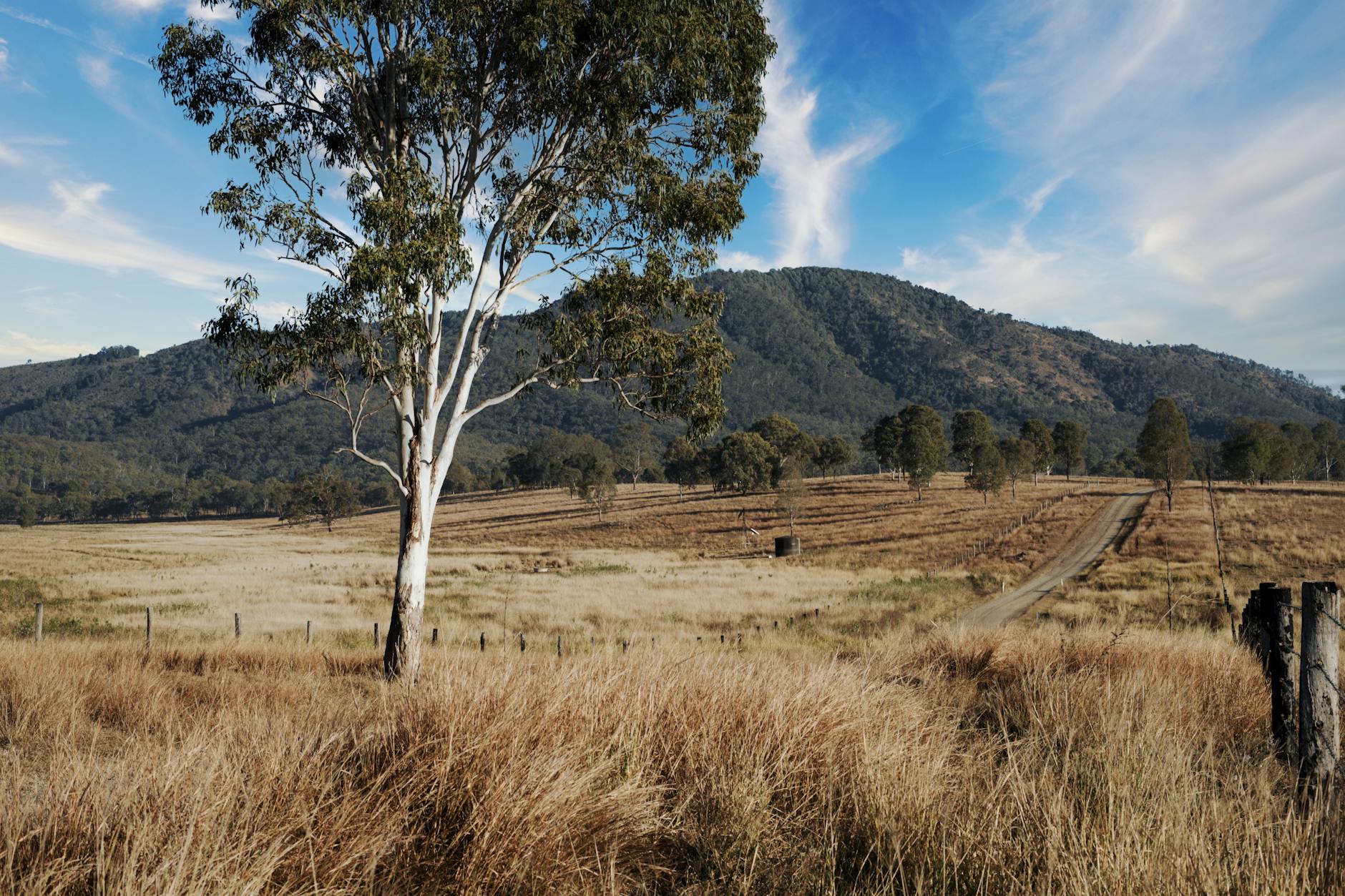 Positive Gearing Strategy: Rural / Regional High-Yield Property