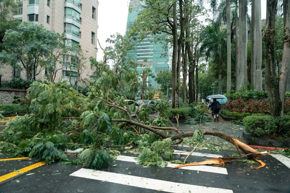 台灣留學代辦 vs 自助申請：真實成本與風險對比