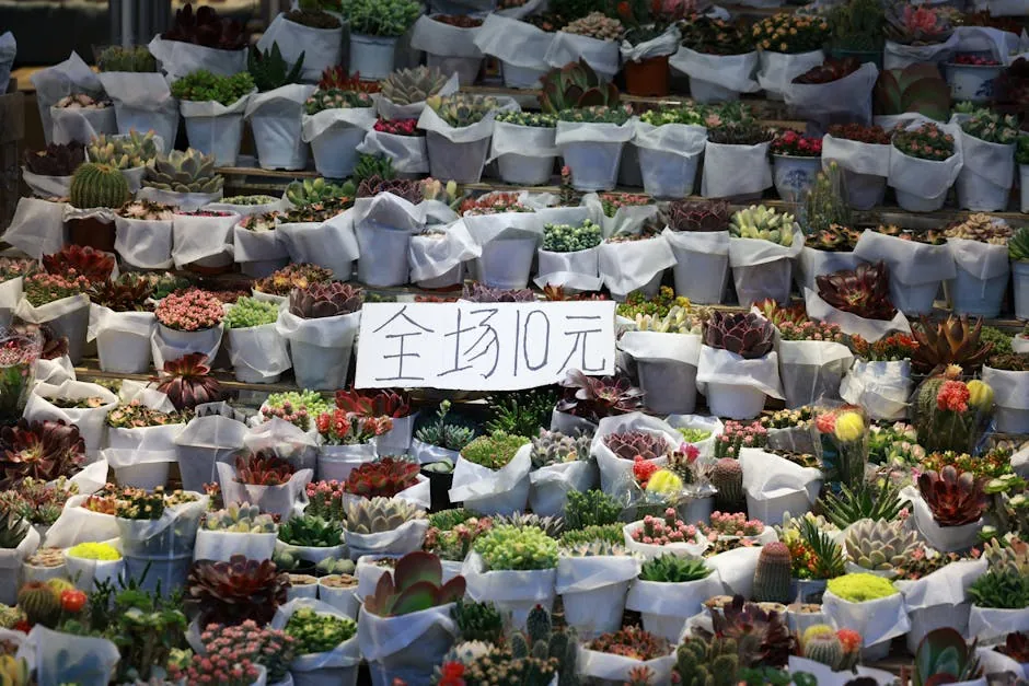 要是你在全球金融危机之后有 1000 万澳元的闲钱买下 Point Piper 就好了