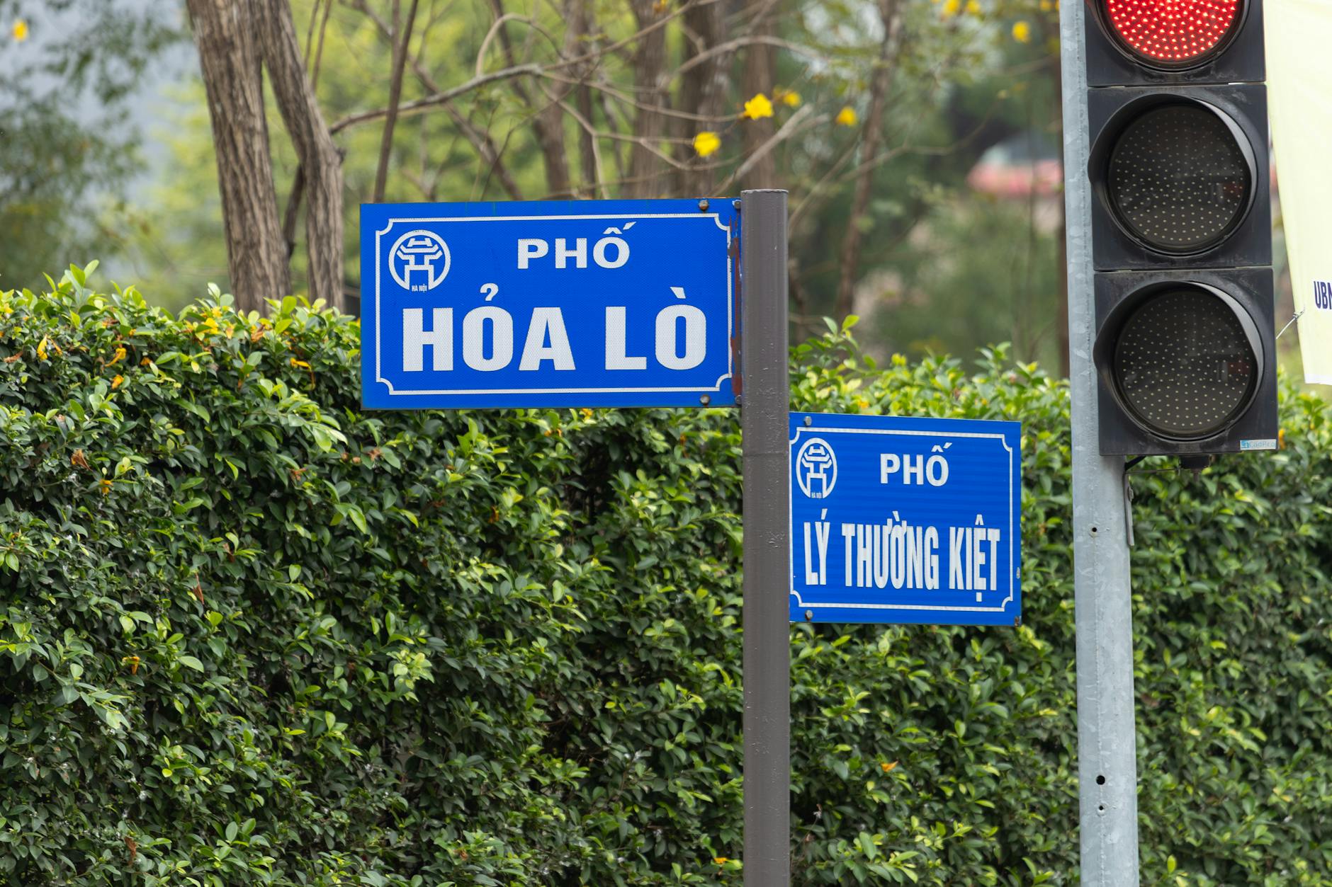 Úc 2026: Phí khám chuyên khoa tâm lý cho người Việt bao nhiêu?