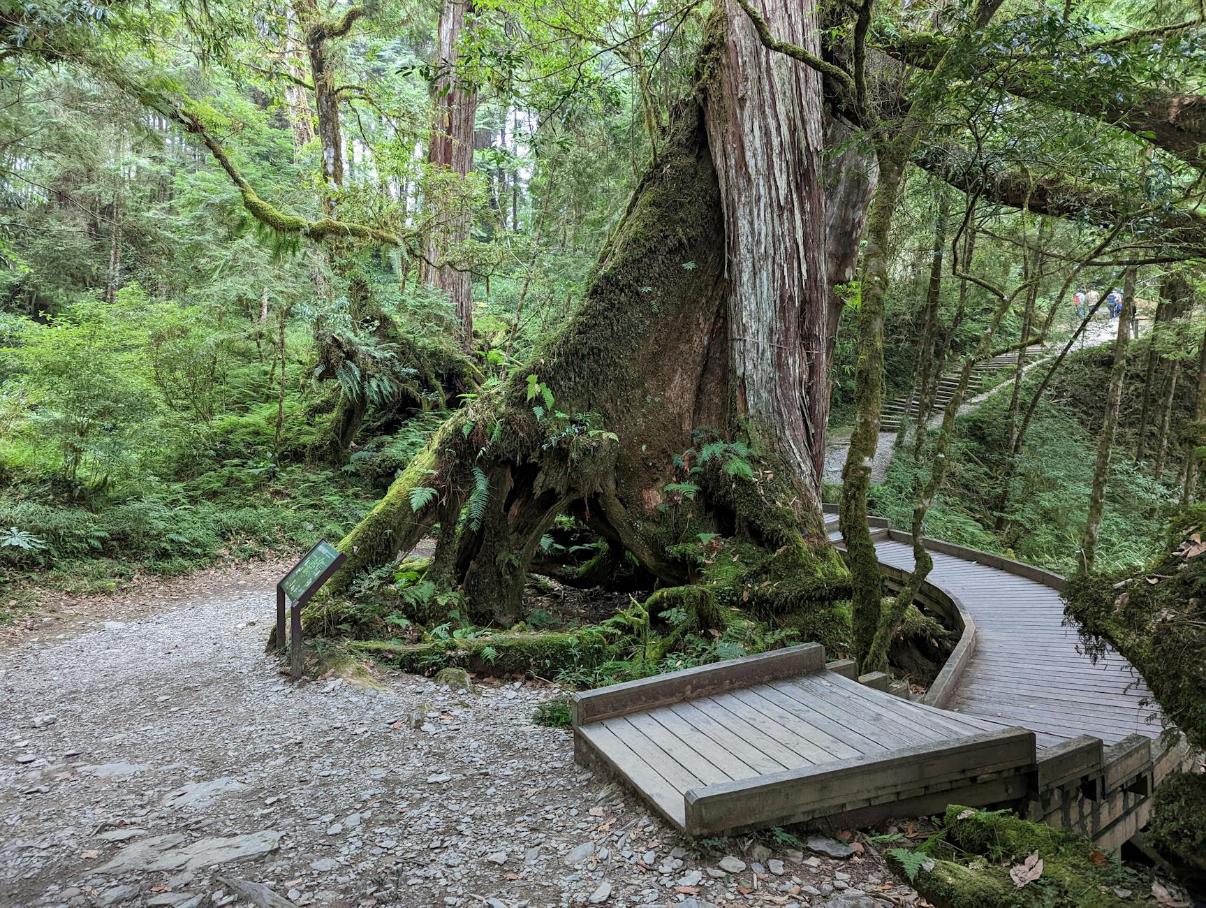 2026 荷蘭大學學費與生活費:歐盟 vs 非歐盟完整比較