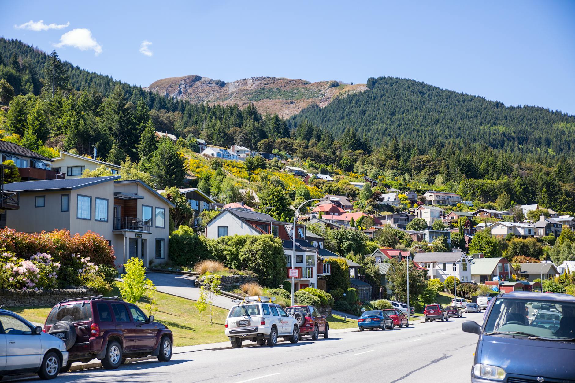 Học bổng chính phủ New Zealand 2026: Điều kiện & cách apply