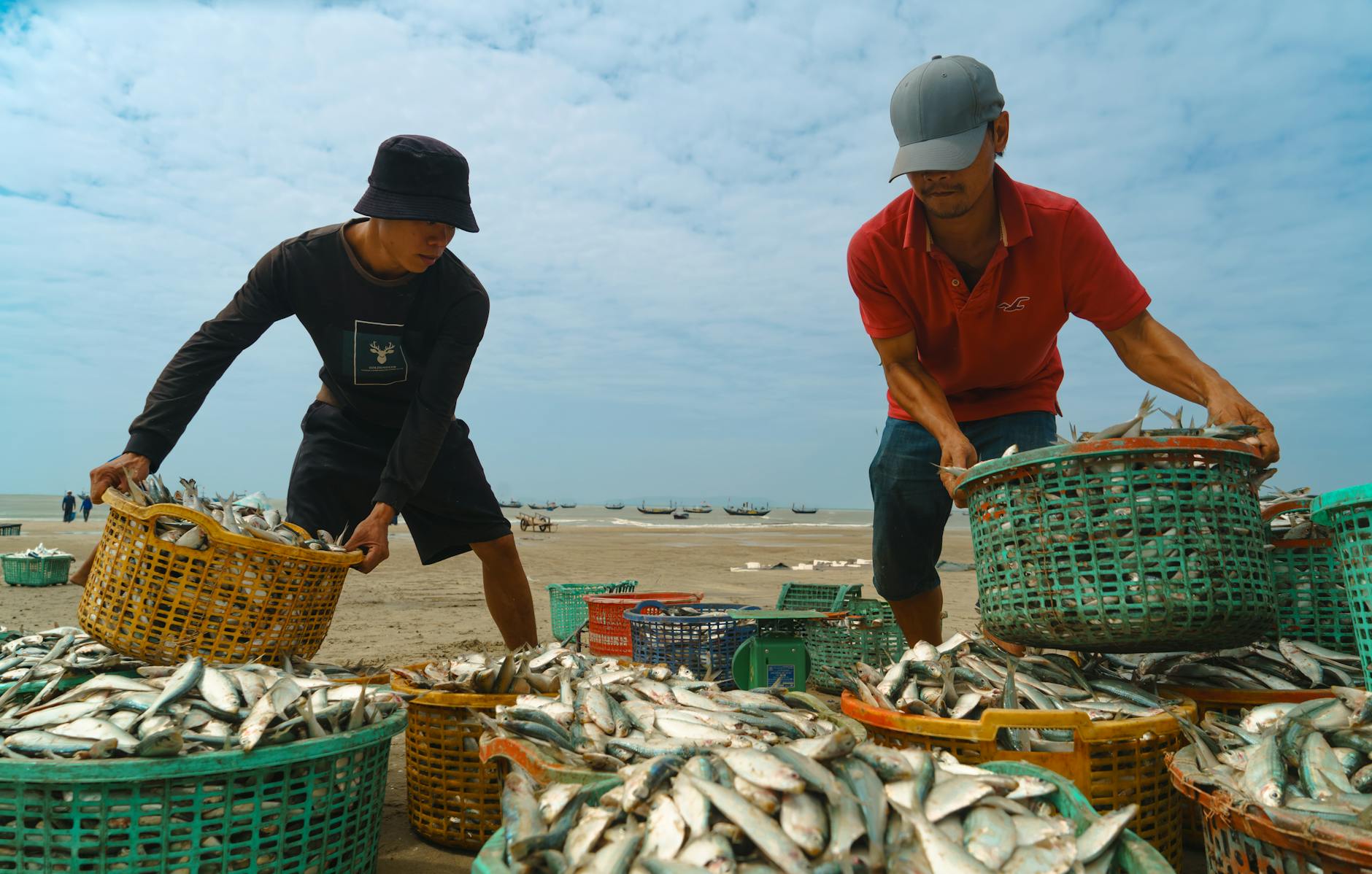 Thuế TNCN Úc 2026: Người nhập cư cần đóng bao nhiêu %?