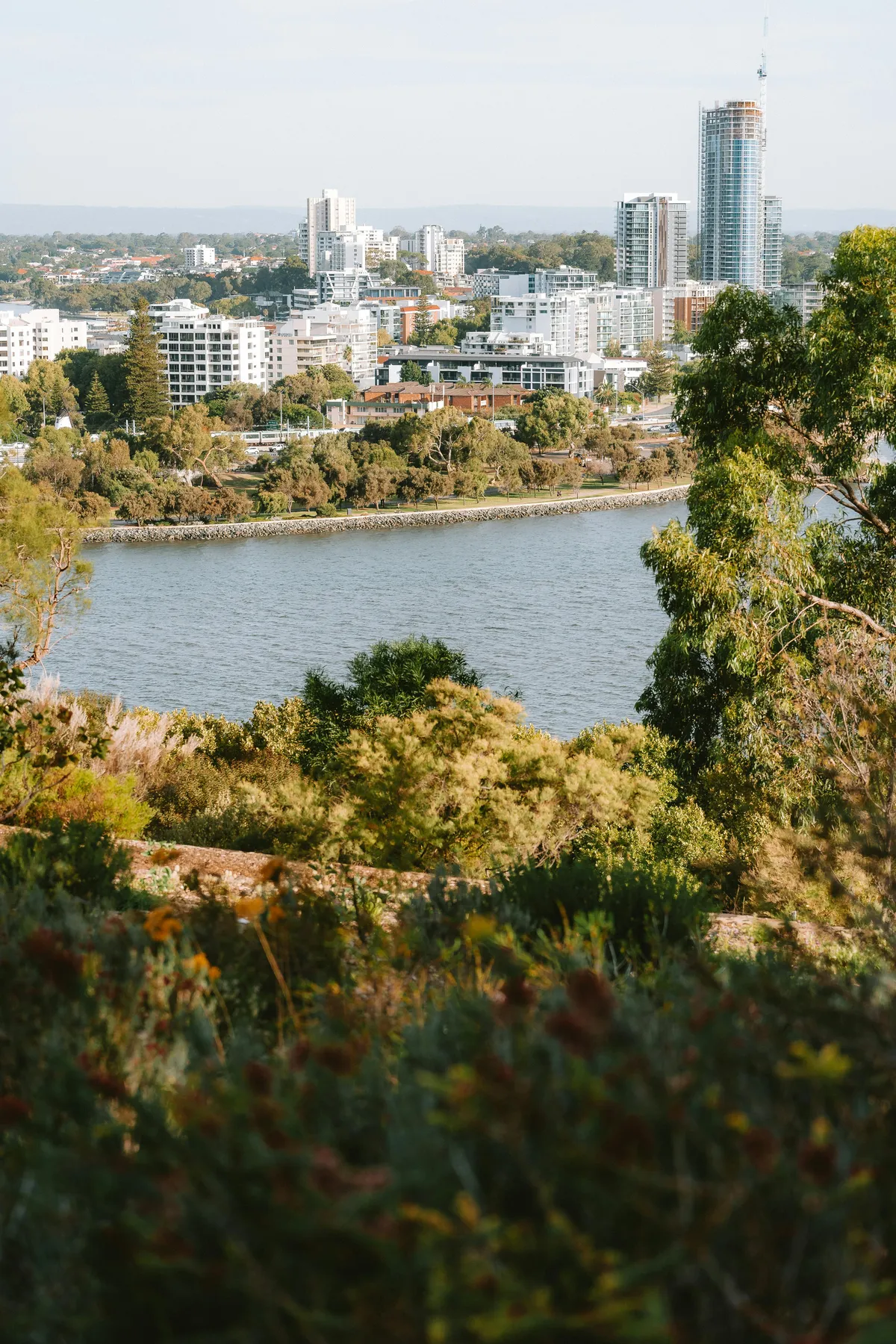 Kings Park Perth Skyline
