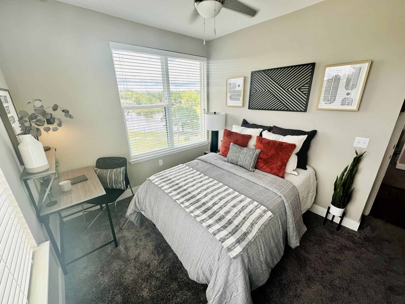 The Standard At Tallahassee — student accommodation in Tallahassee, United States