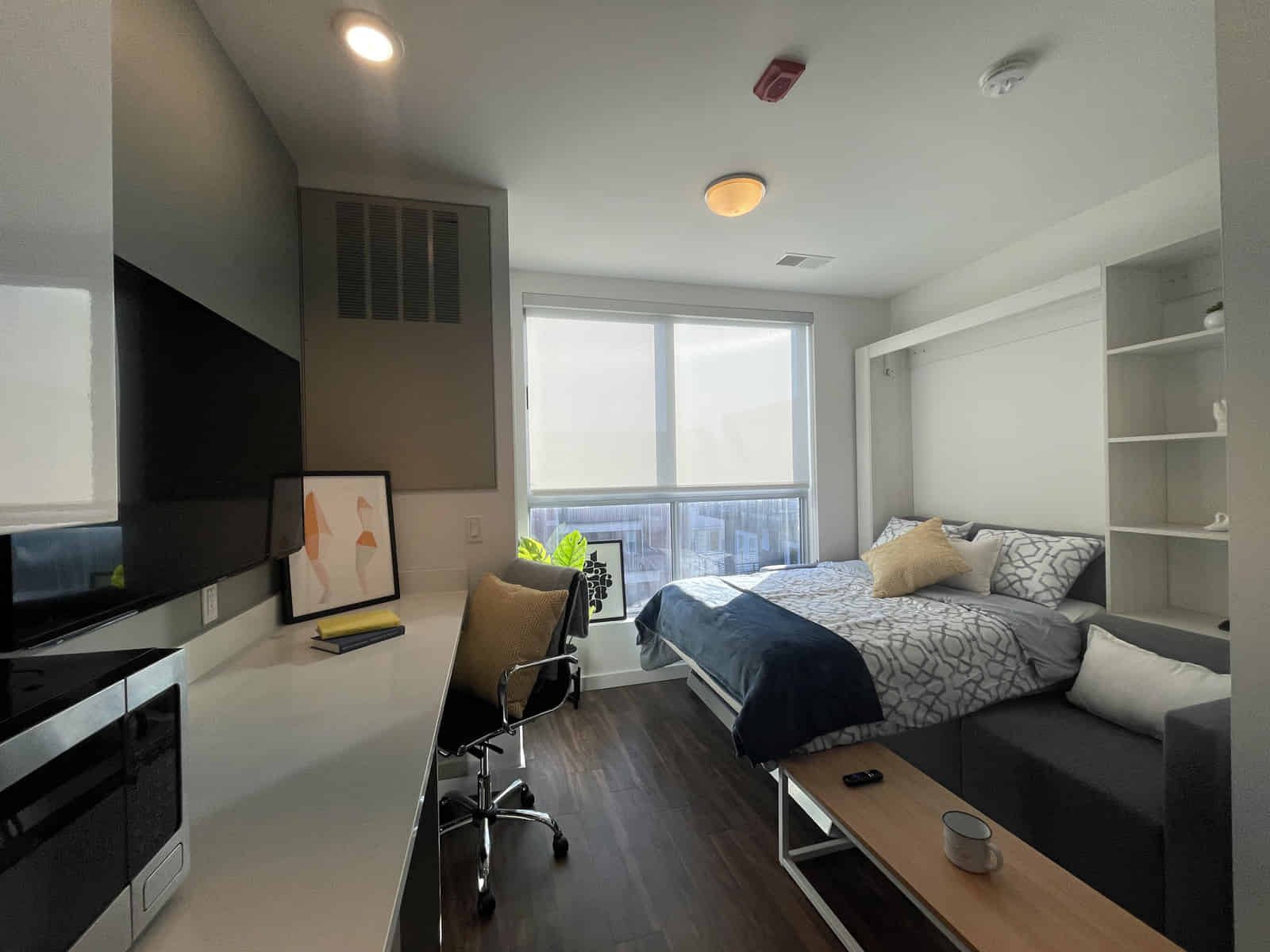 307 E Daniel — student accommodation in Champaign, United States