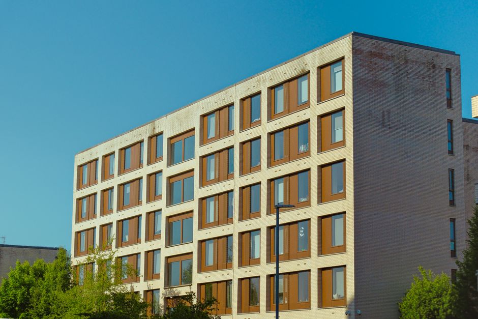 Guide to Finding Pet-Friendly Student Apartments in Major UK University Cities