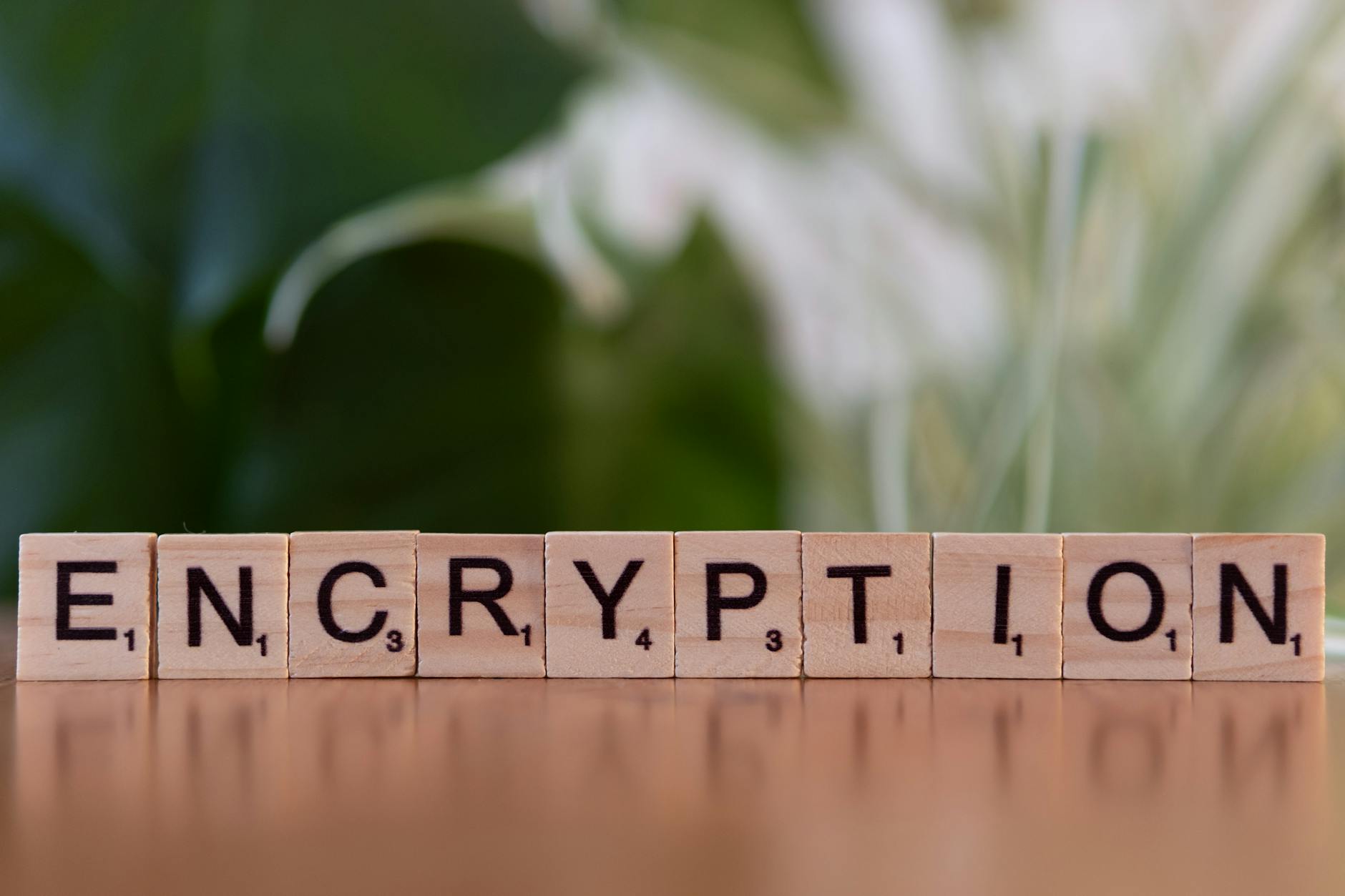 encryption-hk 配图