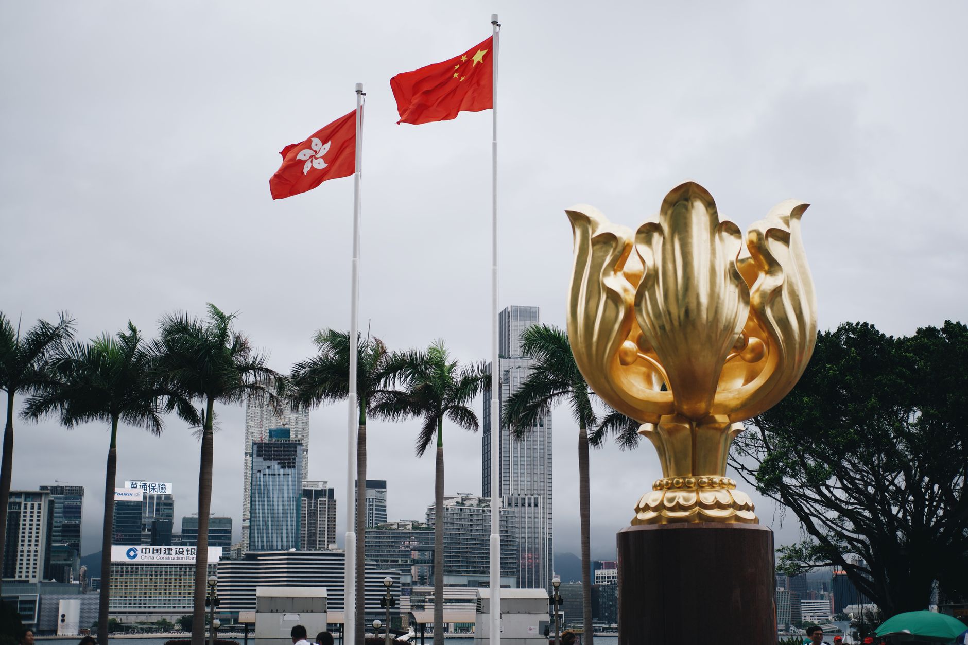fed-hk 配图