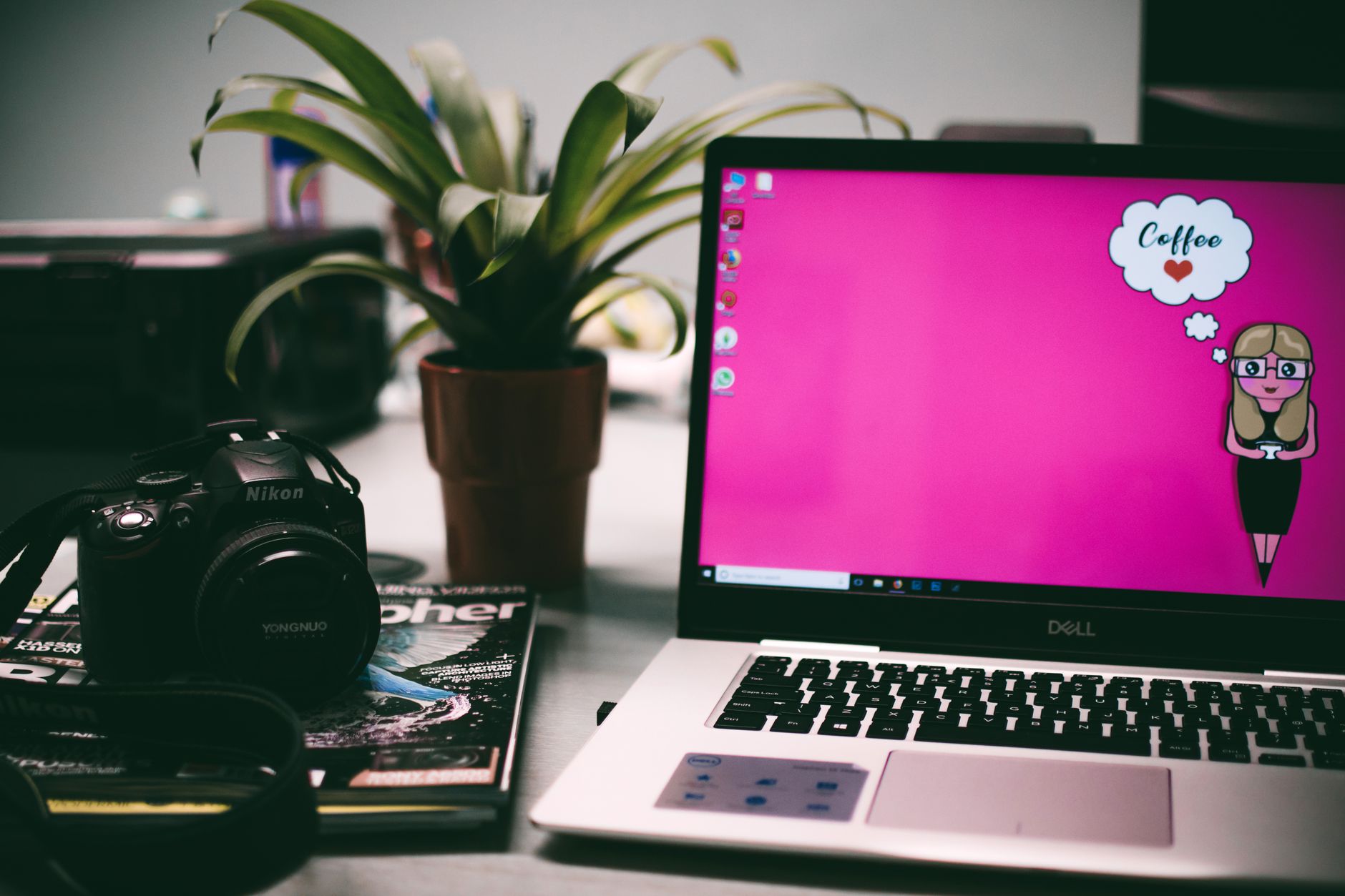航班延误或取消怎么办?可联系航空公司或出港机场求助